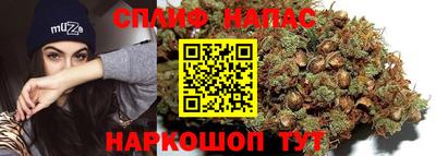 стафф Будённовск
